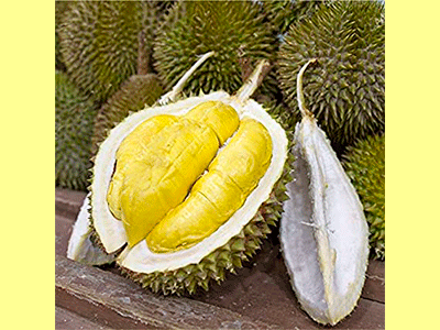 fruta durian