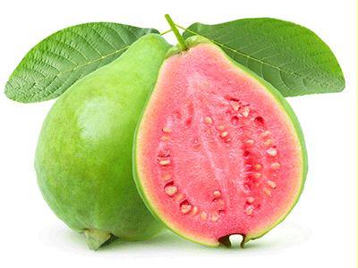 fruta guayaba
