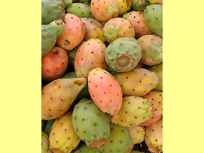 fruta higo chumbo