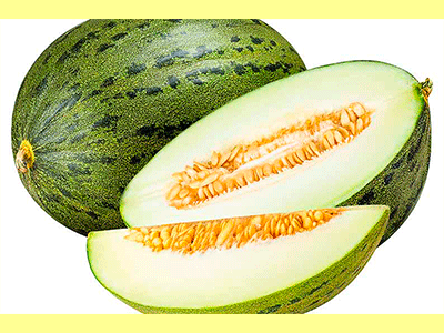 fruta melon