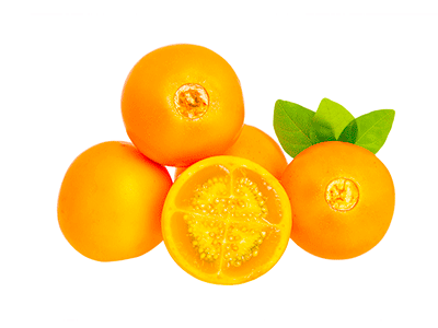 fruta naranjilla de quito