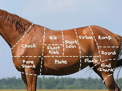 Alimentos de origen animal:La carne de caballo