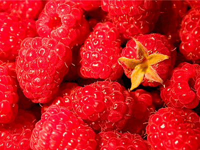 Fruta Frambuesa