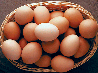Alimentos de origen animal:Los huevos