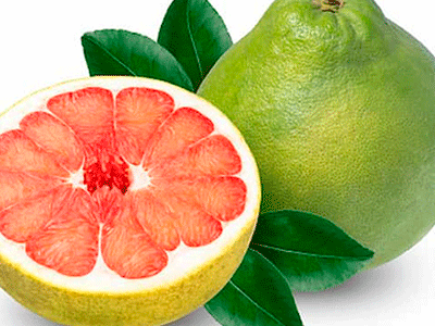 Fruta Pampelmusa