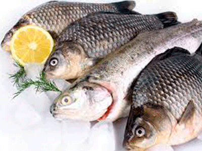 Alimentos de origen animal:Los pescados