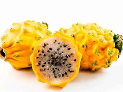 Fruta Pitahaya